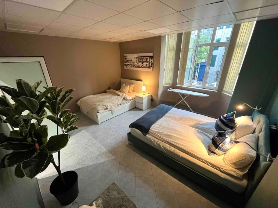 Apartament S Irma - In The Heart Of